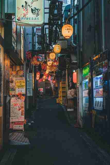 4K蘑菇视频电脑版揭秘:上手攻略
