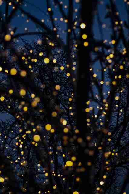 全网热议·P站深度测评:趋势前瞻|2025版